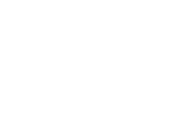 h6-bottom-shape1